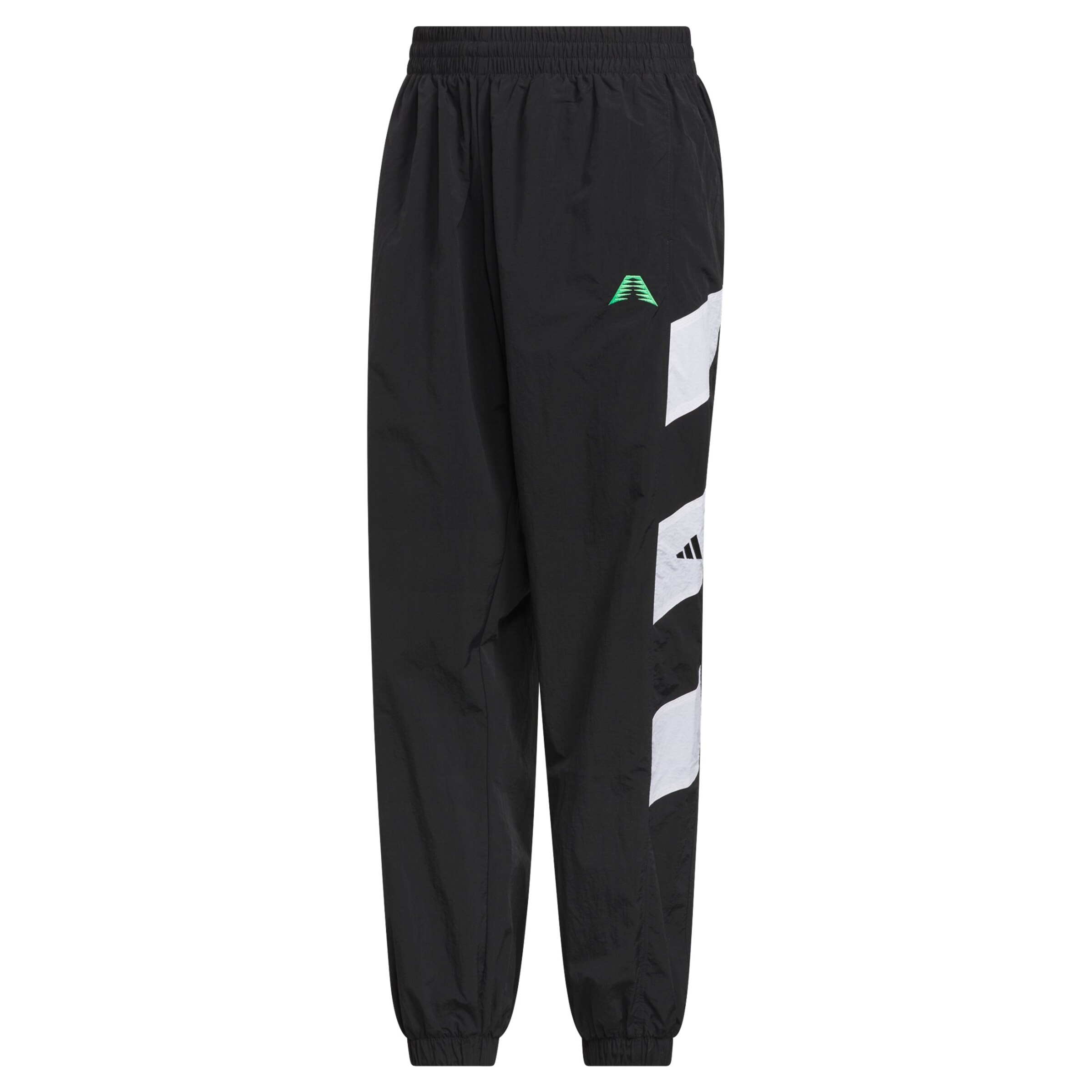 Pantalon de sport 'Anthony Edwards Foundation' ADIDAS PERFORMANCE en noir : devant