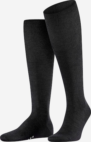 Chaussettes montantes 'Airport' FALKE en gris : devant