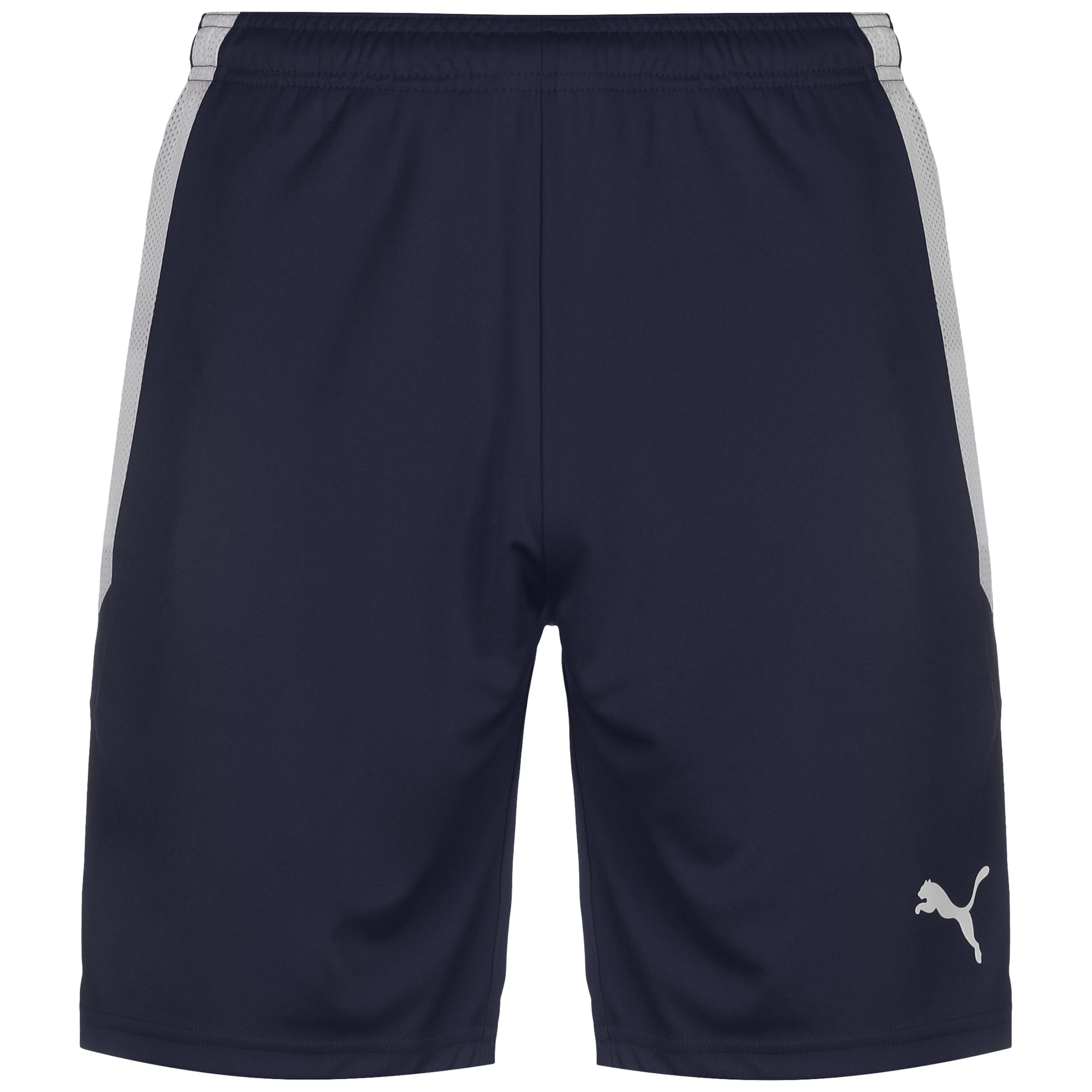 PUMA Sportshorts 'TeamLiga' in Blau: Vorderseite
