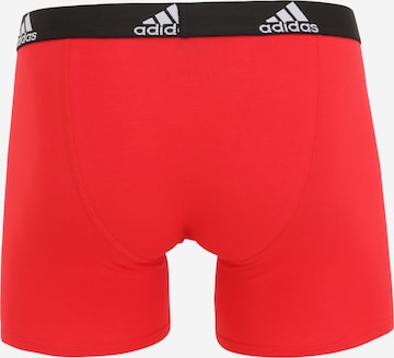 jauktas krāsas ADIDAS SPORTSWEAR Sporta apakšbikses