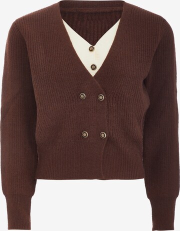 NALLY Knit Cardigan in Brown: front
