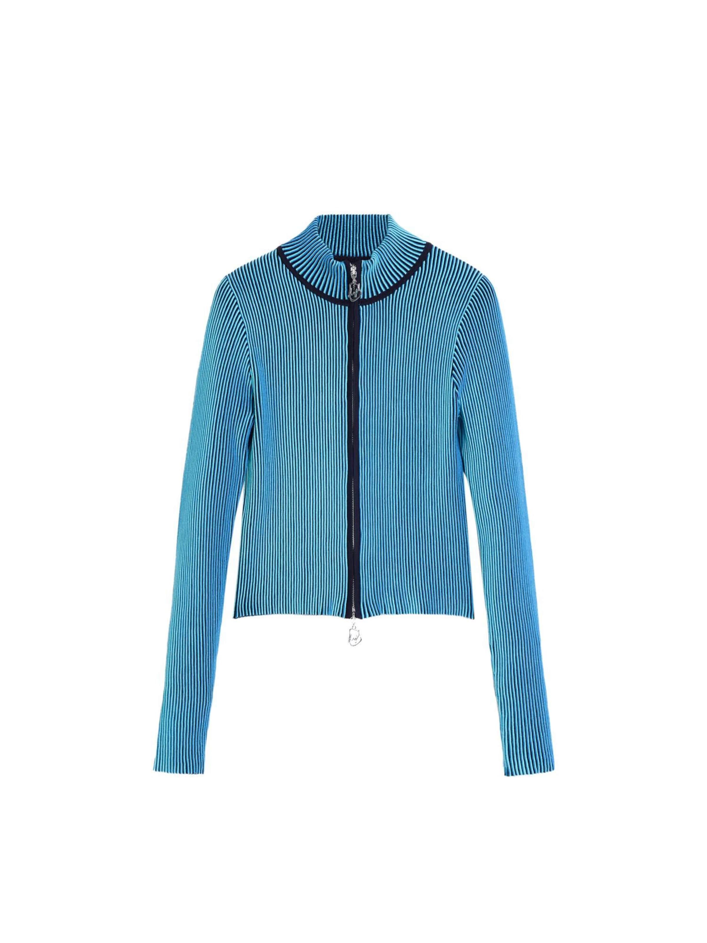 Desigual Cardigan i blå: forside