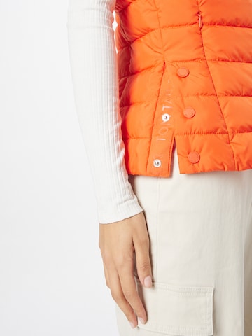 TOM TAILOR Bodywarmer in Oranje