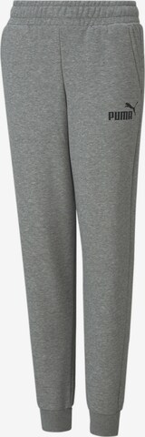 PUMA Tapered Hose in Grau: predná strana