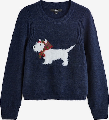 Next Sweater in Blue: front