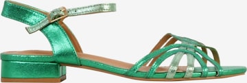 POTI PATI Sandal 'Supermodische Riemchensandalen' in Green: front