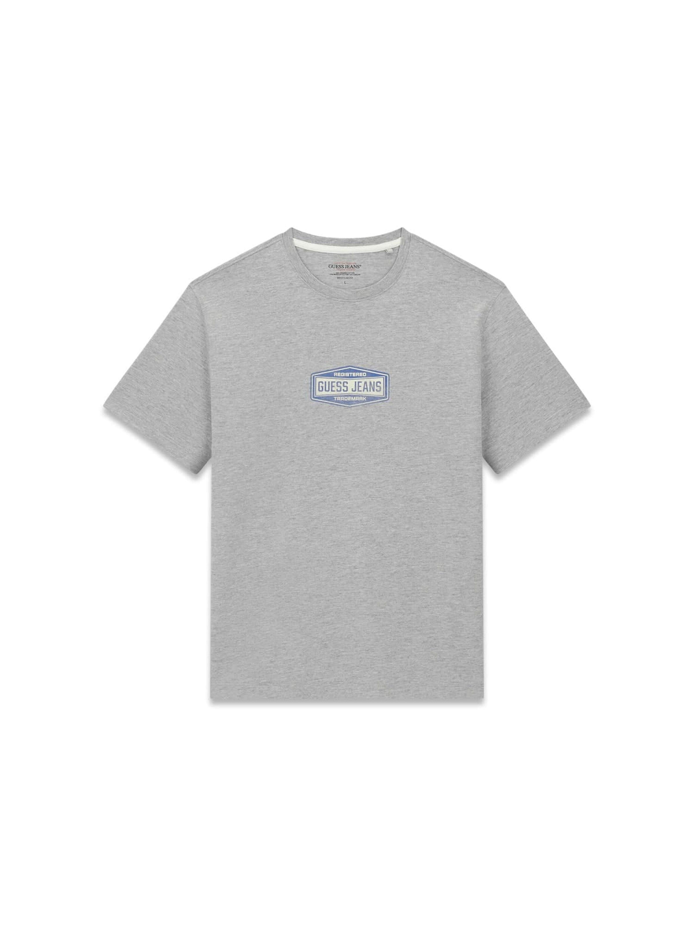 GUESS T-Shirt in Grau: Vorderseite
