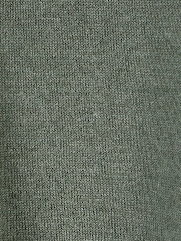 Only Petite Pullover 'JULIE' in Grün