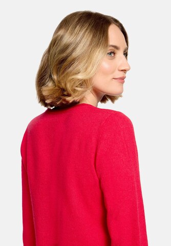 Cartoon Pullover in Rot