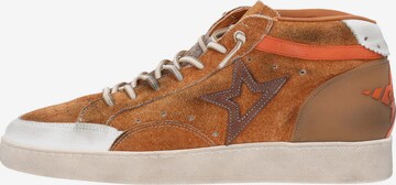 Cetti High-Top Sneakers in Brown