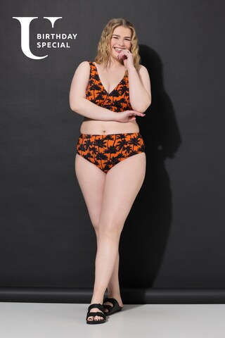 Studio Untold Bikini Bottoms in Orange