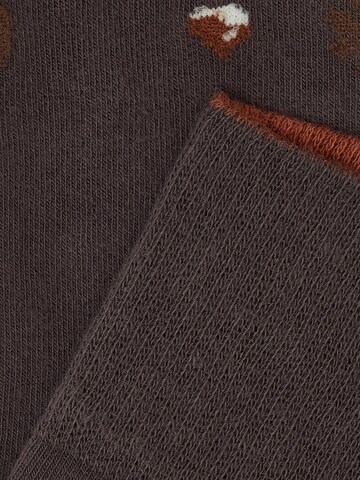Von Jungfeld Socks 'Herbst ICONS' in Brown
