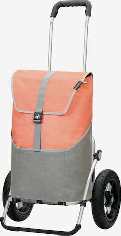 Andersen Shopper Cart 'Vigo' in Grey: front