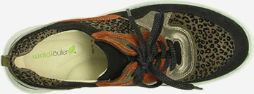 WALDLÄUFER Lace-Up Shoes in Mixed colors