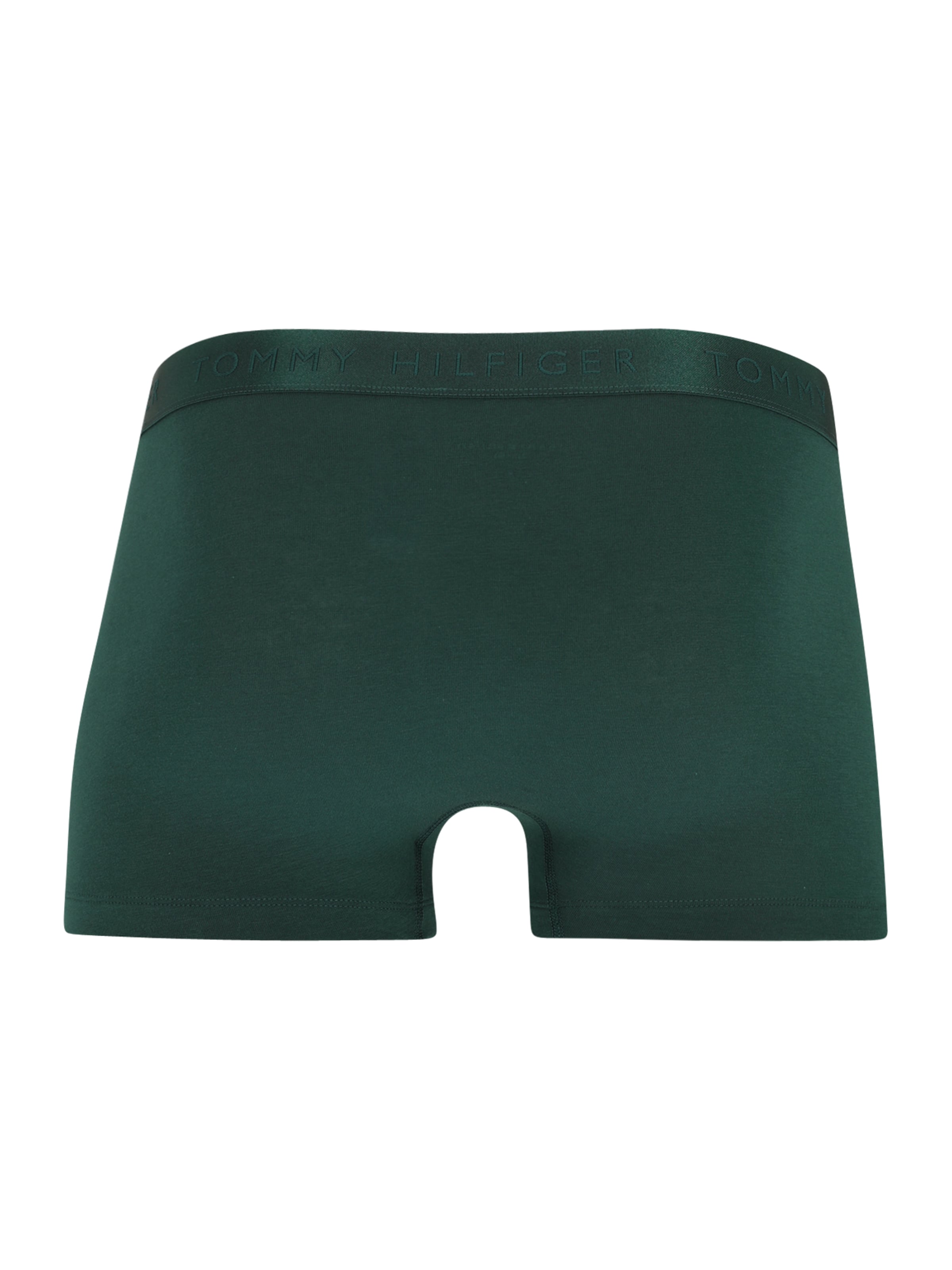 Tommy Hilfiger Underwear Boxer shorts in Blue