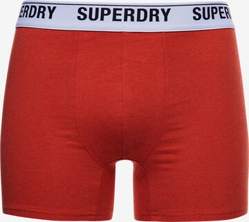 Superdry Шорты Боксеры в Оранжевый