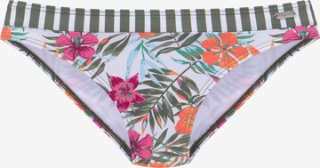 VENICE BEACH Bikini Bottoms in Mixed colors: front