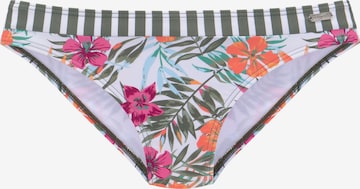 VENICE BEACH Bikini Bottoms in Mixed colors: front