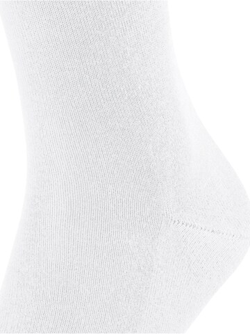 FALKE Socks 'Family' in White