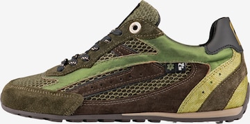 Floris van Bommel Sneakers laag 'Illvi 01' in Groen: voorkant