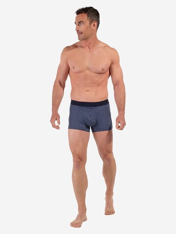 Boxers ' HO1 Hampton ' HOM en bleu