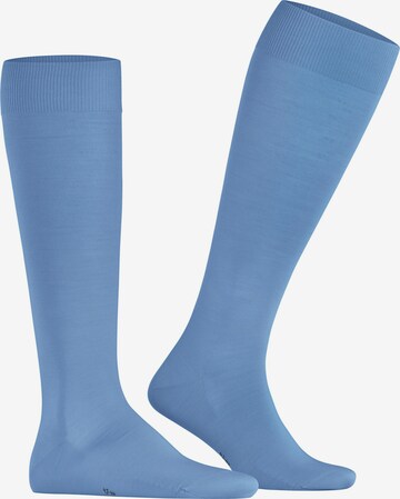 FALKE Knee High Socks 'ClimaWool' in Blue: front