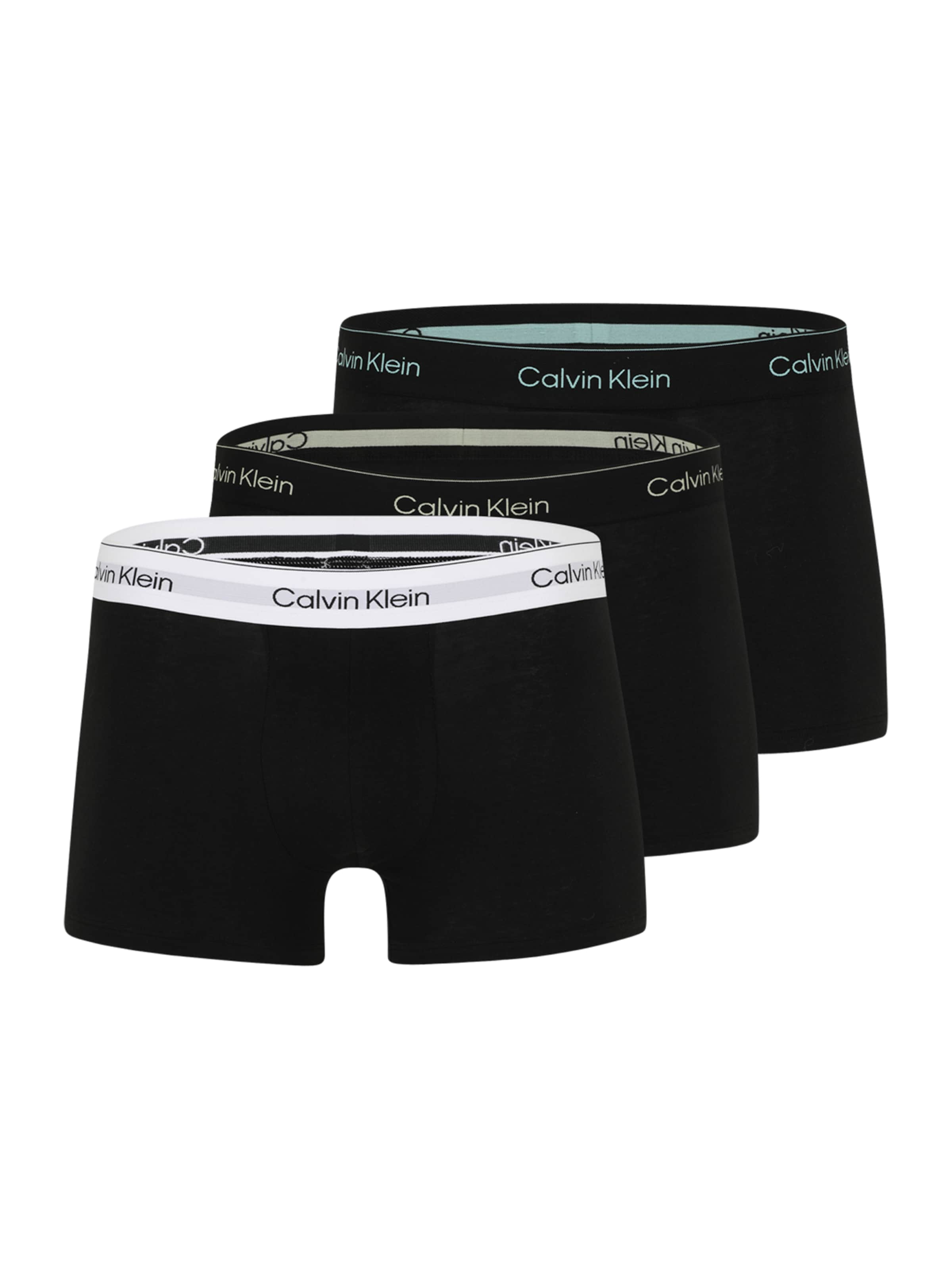 juoda Calvin Klein Underwear Boxer trumpikės: priekis