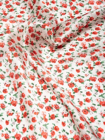 MayTree - Chal en rojo