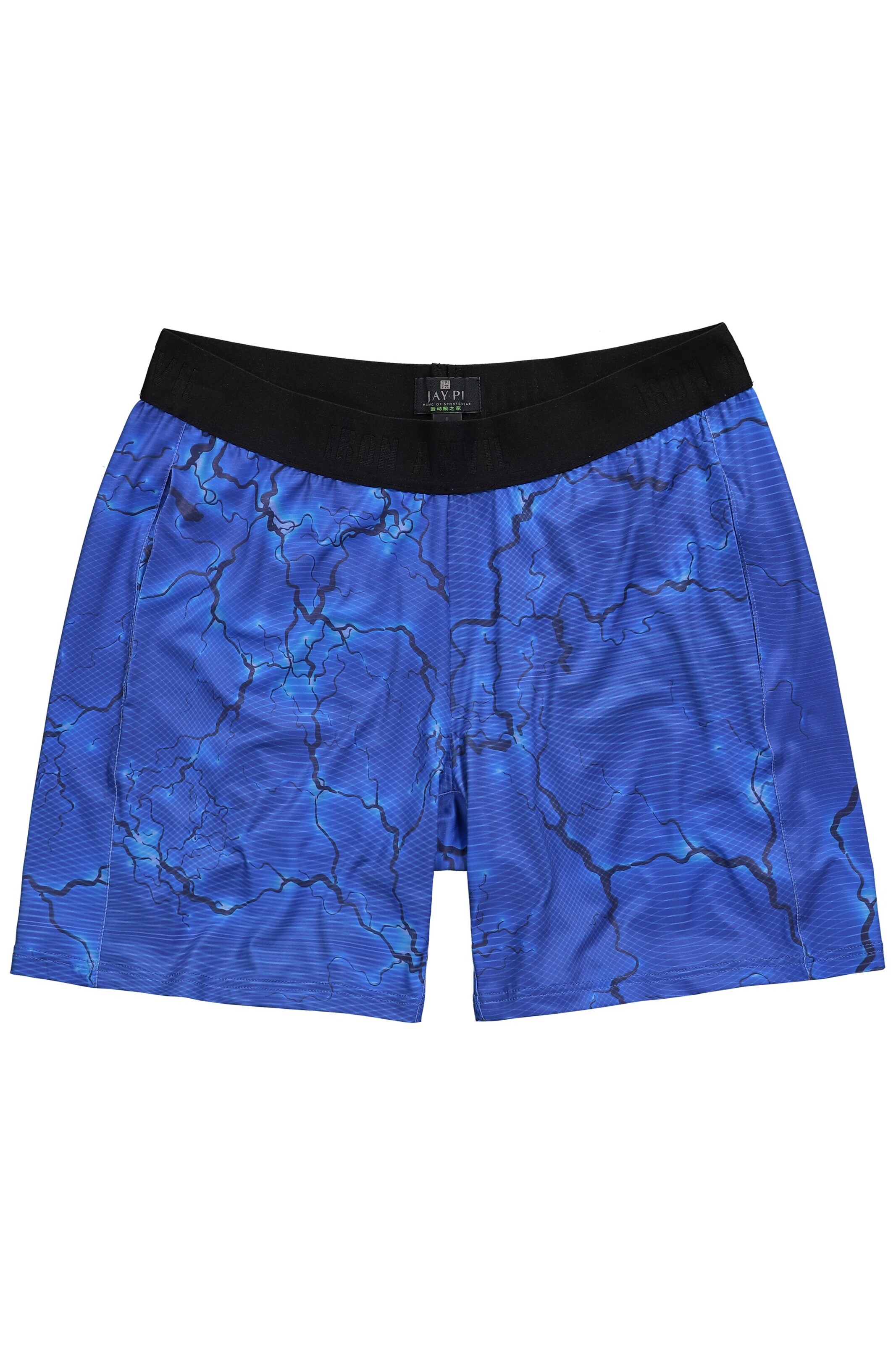 JAY-PI Regular Sporthose in Blau: Vorderseite