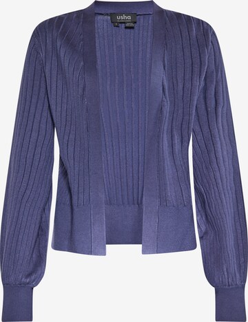 usha BLACK LABEL Knit Cardigan in Blue: front