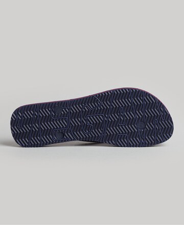 Tongs Superdry en bleu