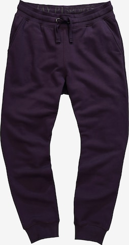 JAY-PI Hose in Lila: Vorderseite