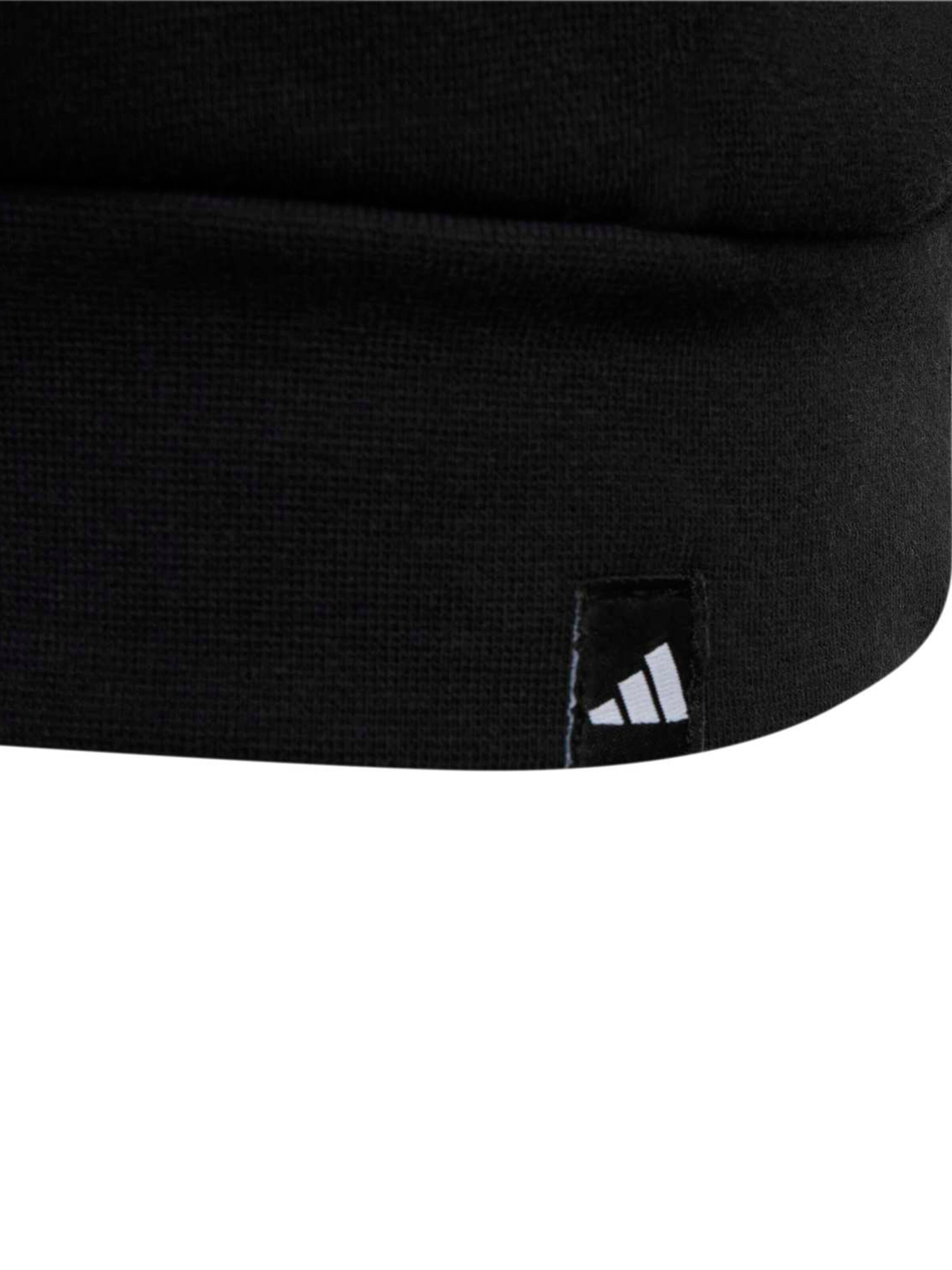 ADIDAS TERREX Bluza sportowa w kolorze czarny