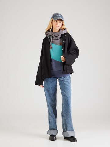 naketano Sweatshirt in Grijs