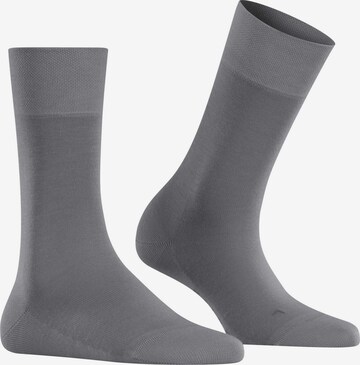 Calzino di FALKE in grigio