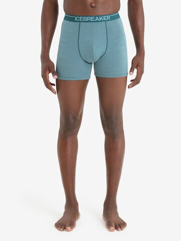 ICEBREAKER Sports underpants 'Anatomica' in Green: front