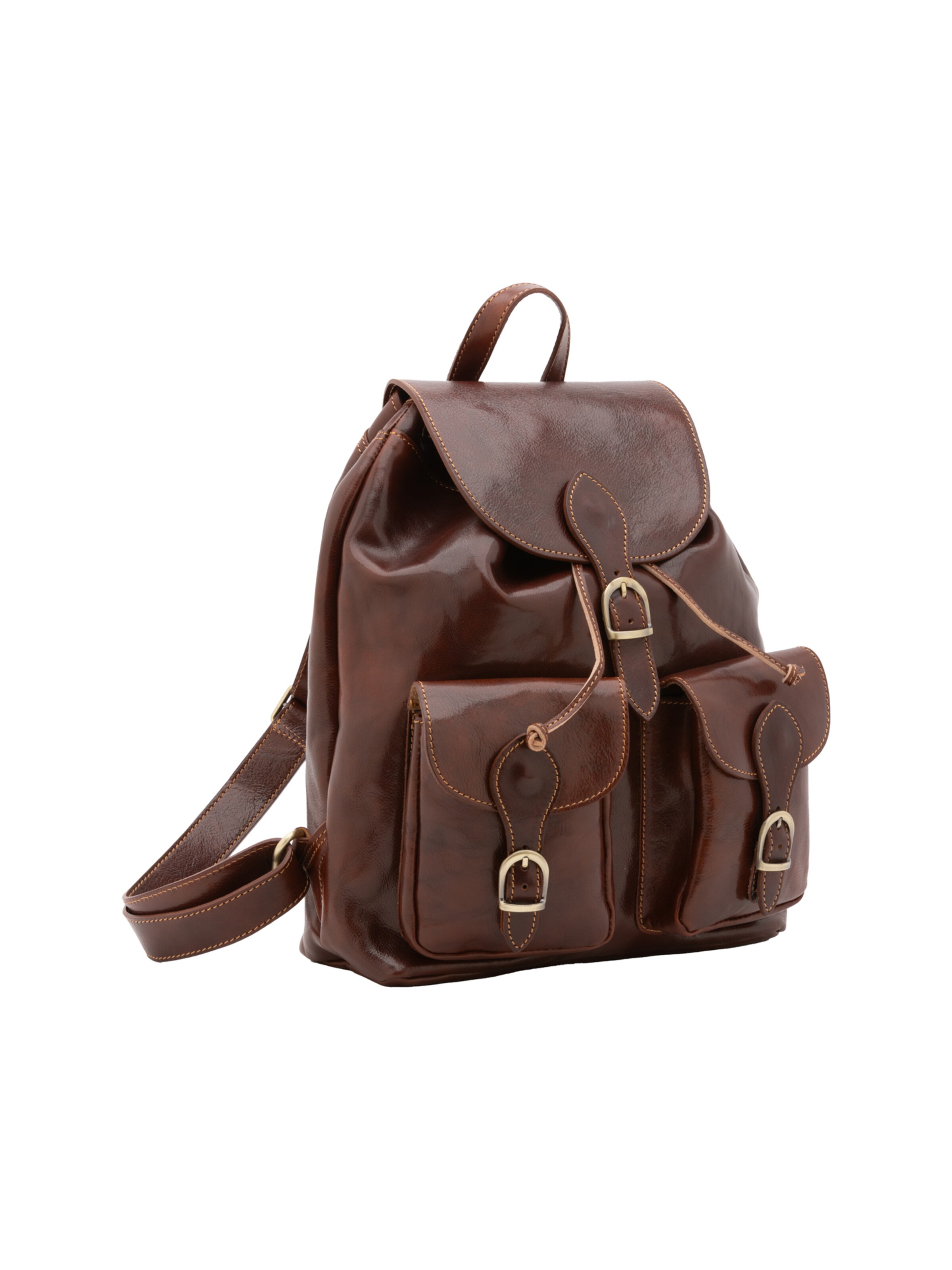 Viola Castellani Backpack in Brown: front