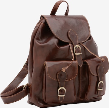 Viola Castellani Backpack in Brown: front