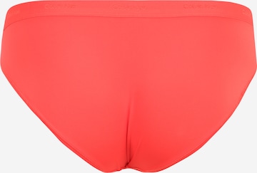 Calvin Klein Underwear Plus Panty in Orange