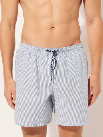 CALZEDONIA Board Shorts in Grey: front