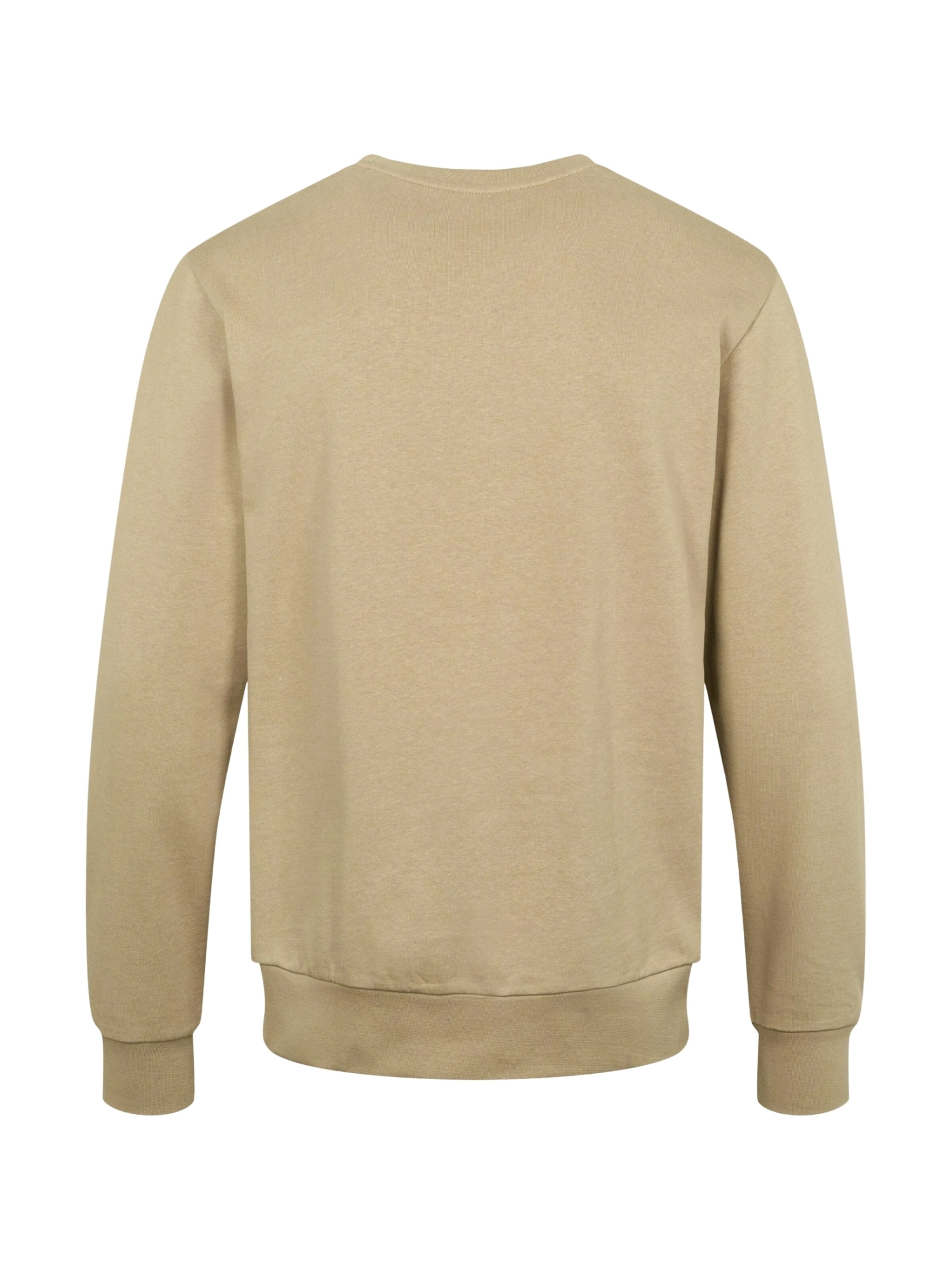 U.S. POLO ASSN. Sweatshirt 'Hugo' in Beige