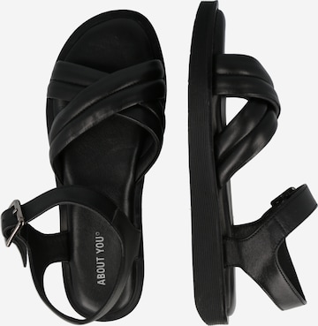 ABOUT YOU Sandals 'Freya' in Black