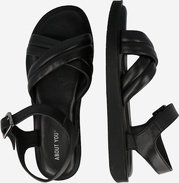 ABOUT YOU - Sandalias 'Freya' en negro