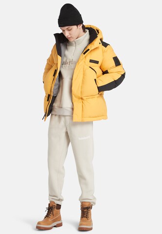 TIMBERLAND Winter jacket in Yellow