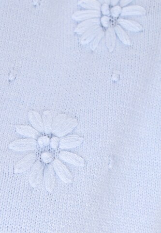 ebeeza Sweater in Blue