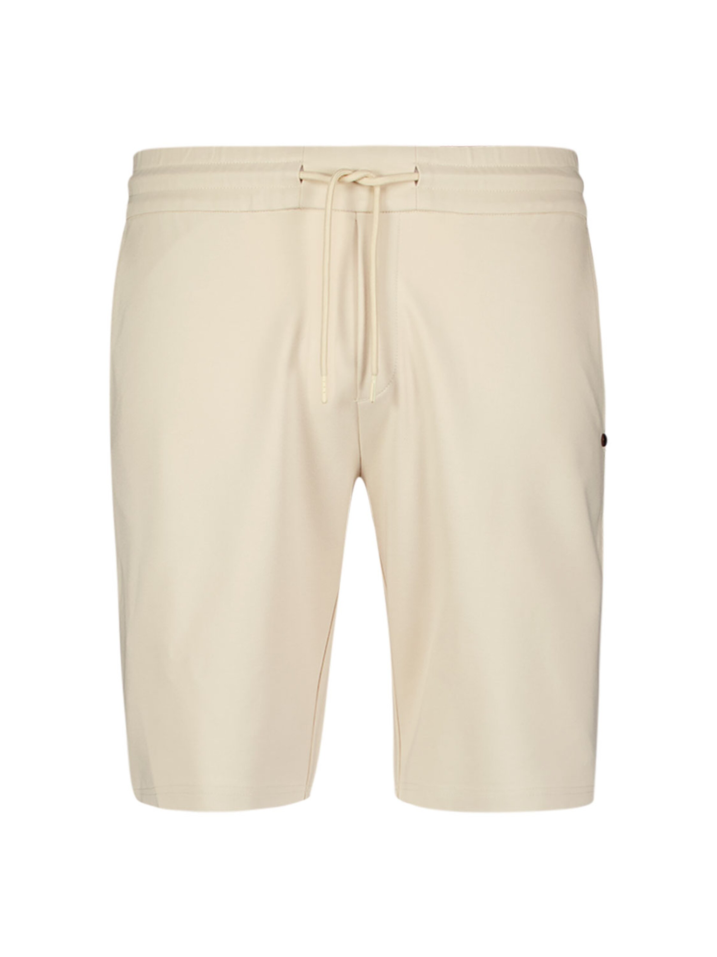 Regular Pantalon No Excess en gris : devant