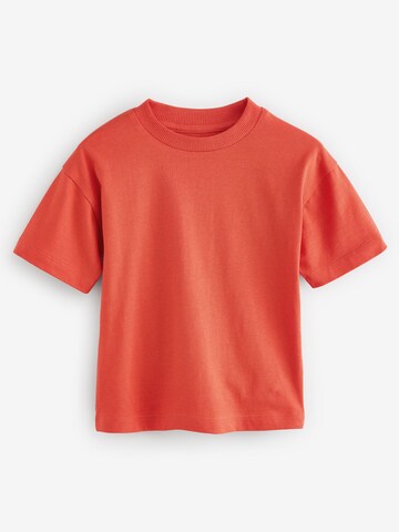 Next T-Shirt in Beige
