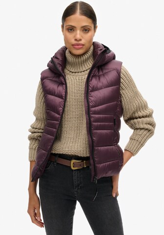 Superdry Weste in Lila: Vorderseite