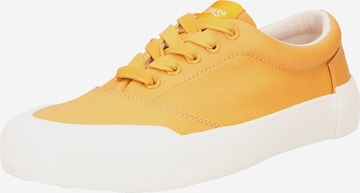 TOMS Sneakers 'ALPARGATA FENIX LACE UP' in Yellow: front