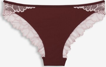 Slip ESPRIT en marron : devant